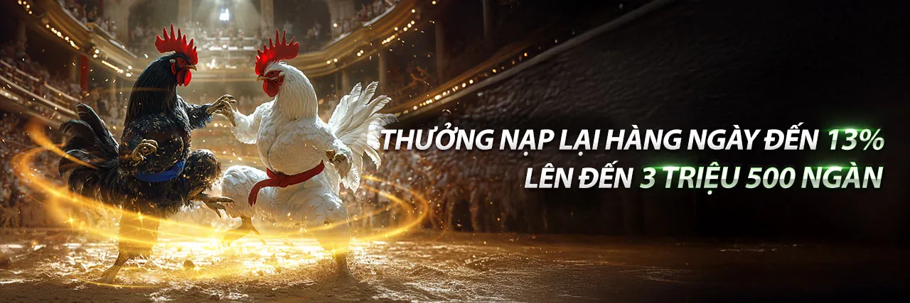 Hình ảnh chủ đạo về chơi có trách nhiệm tại happy66 link mới